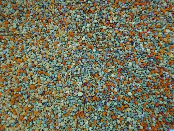 récolte du pollen au rucher de Raon l'Etape